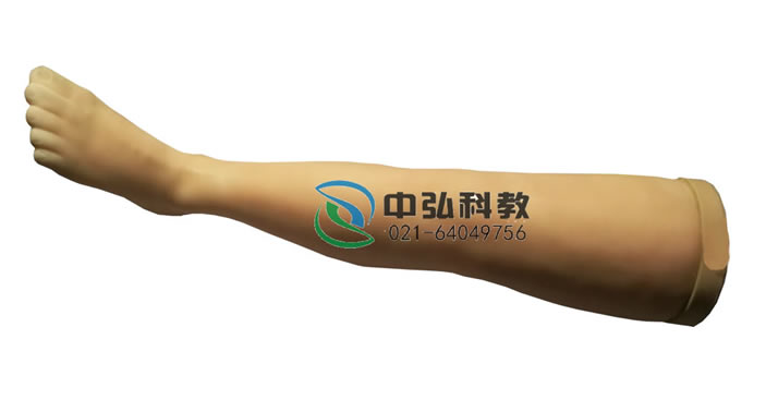 針灸腿訓(xùn)練模型